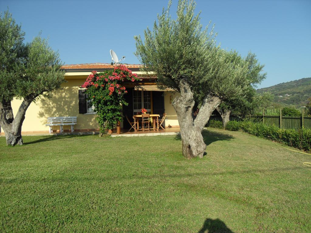 Villa Mimosa Tropea Ricadi Buitenkant foto